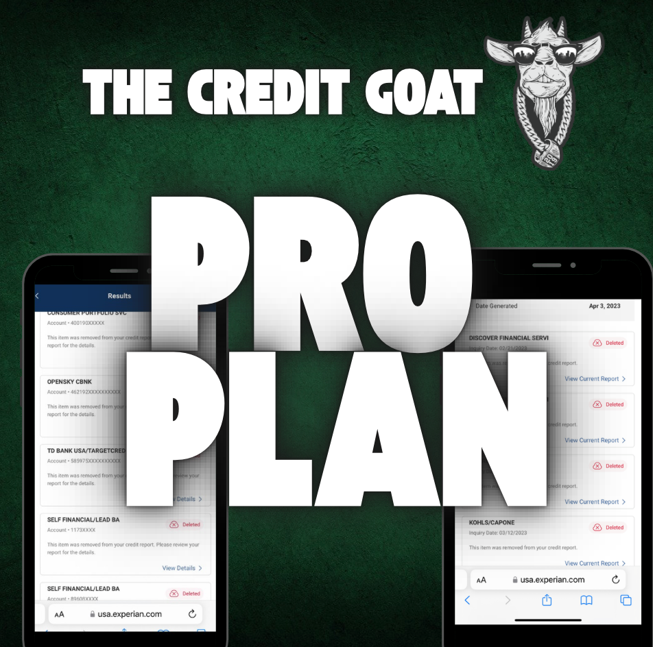 Pro Credit Repair Plan (6 Months)