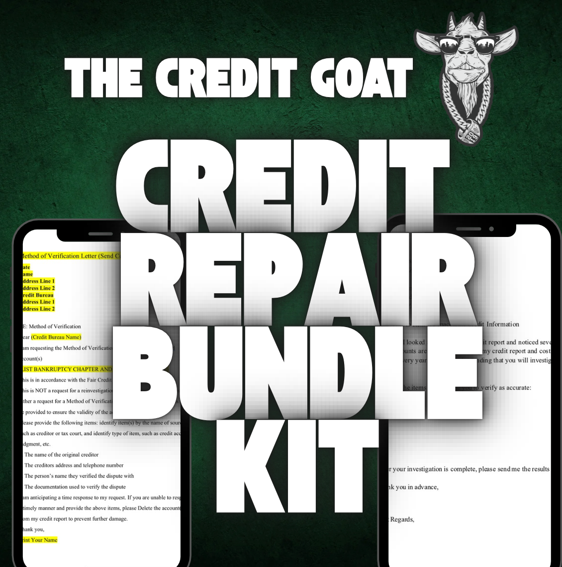 DIY Credit Repair Bundle kit